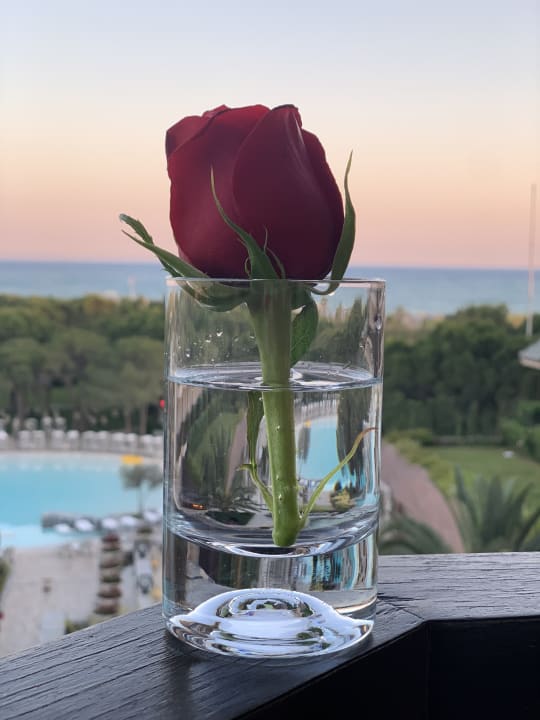 Zimmer Xanadu Resort Hotel