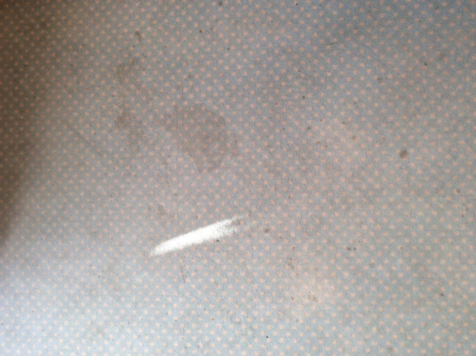 Teppichboden haus Dreisessel Burghotel Am Hohen Bogen