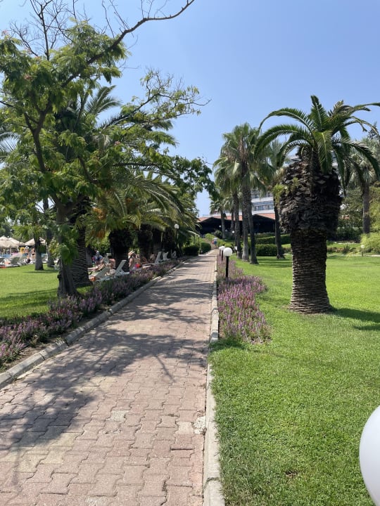 Lobby Sunrise Resort Hotel