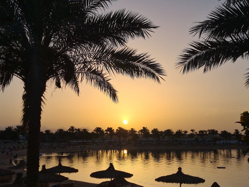 Ausblick Desert Rose