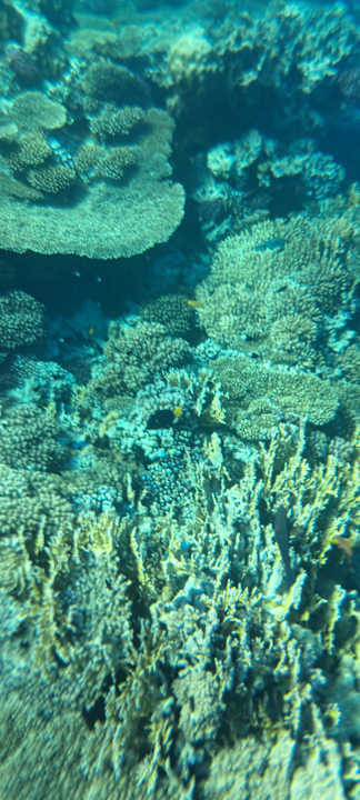 Sonstiges Albatros Makadi Resort