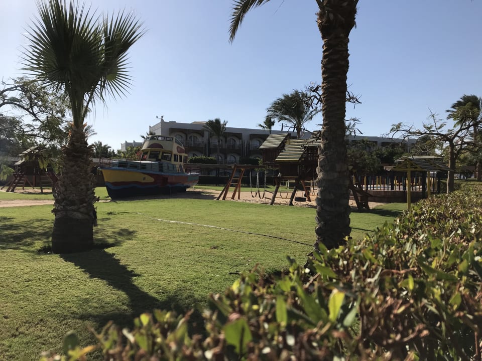 Sport & Freizeit Desert Rose