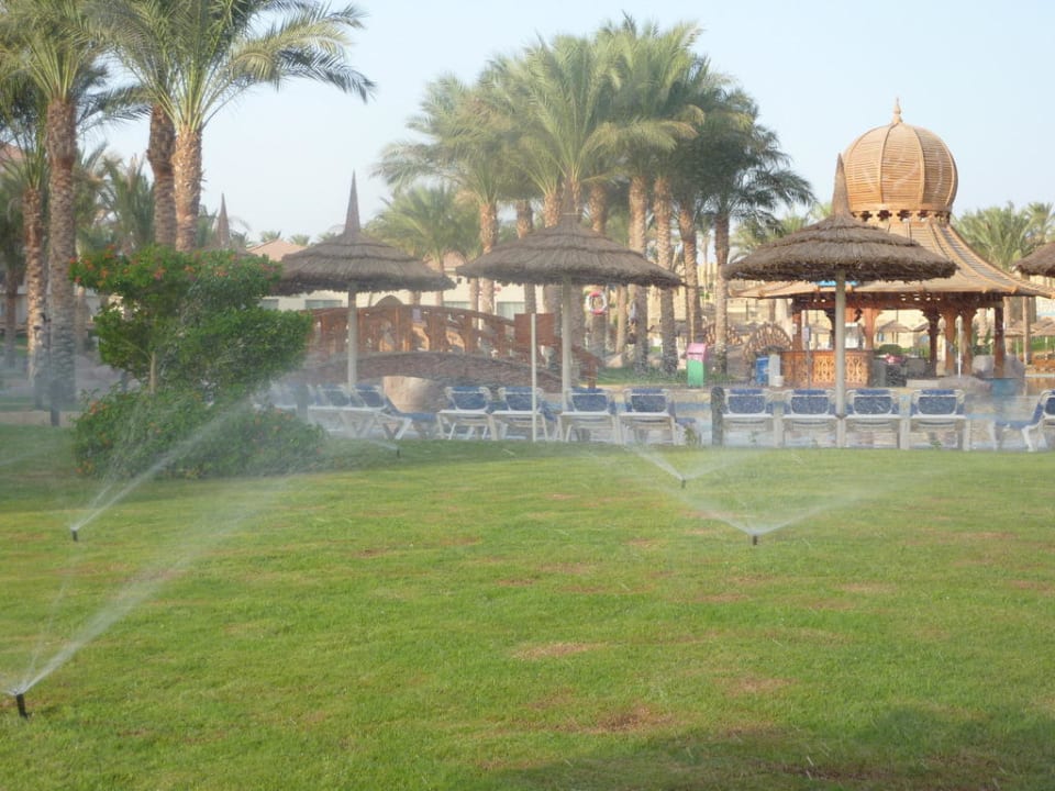 Podlewanie trawników Hotel Tropicana Azure Club