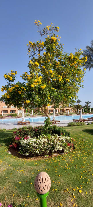 Gartenanlage Sentido Akassia Beach