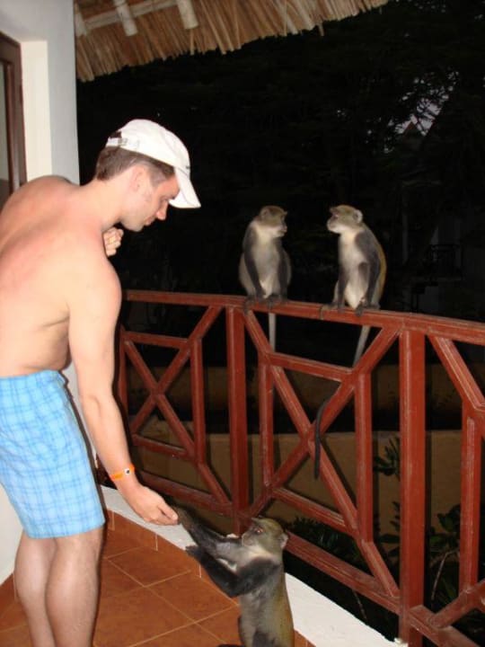 Unsere Freunde kamen jeden Tag Neptune Village Beach Resort & Spa