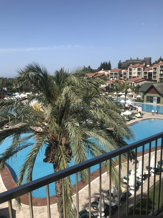 Ausblick Arum Barut Collection