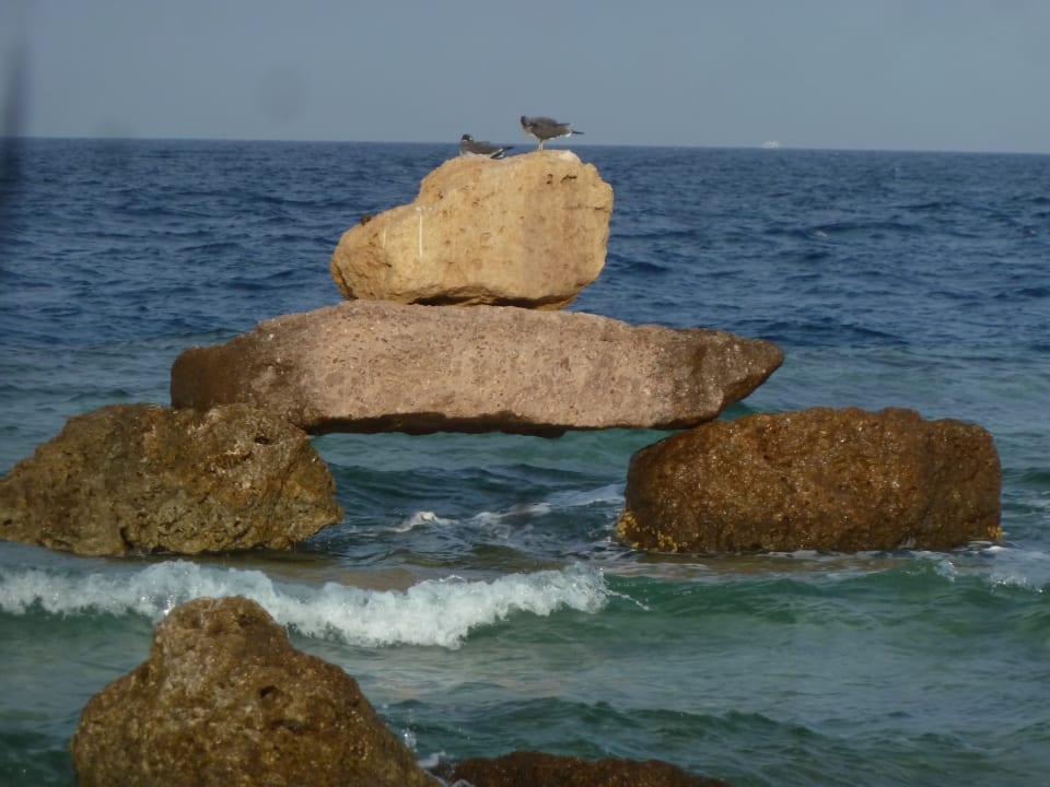 Citadel Azur - Resort & Spa - Strand Pickalbatros Citadel Resort