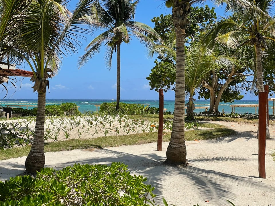 Ausblick Akumal Bay Beach & Wellness Resort