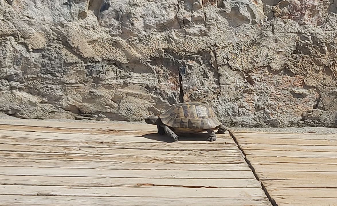 Strand Relax Beach Hotel