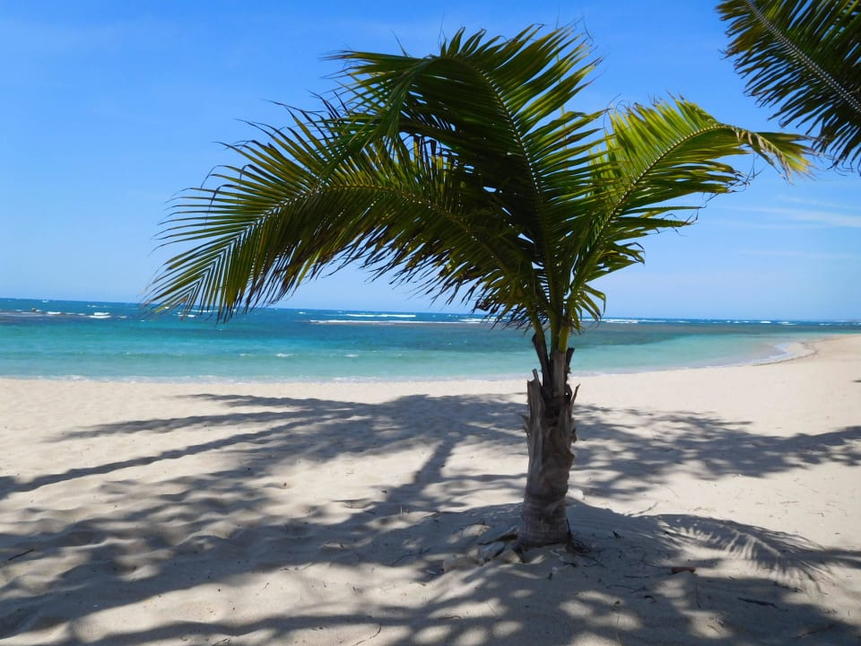 Blick zum Meer Grand Paradise Playa Dorada