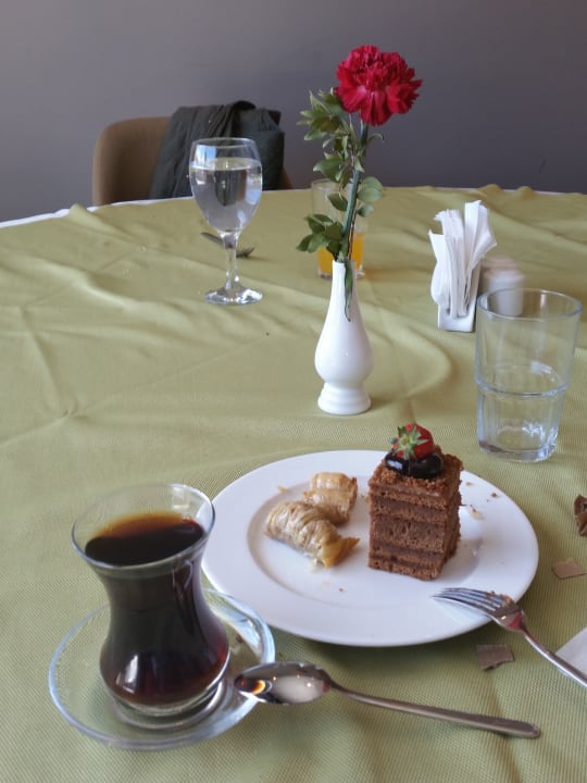 Gastro Seashell Vega