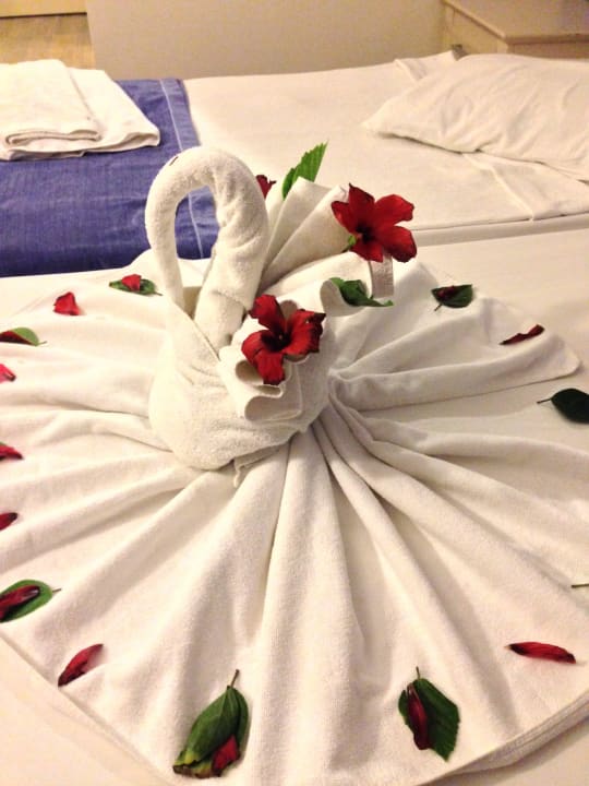 Schwan Club Turtas Beach Hotel