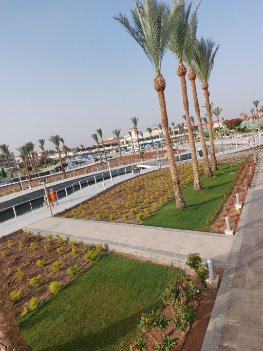 Ausblick Pickalbatros Dana Beach Resort - Hurghada