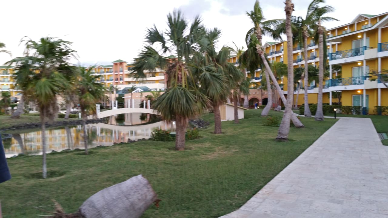 Gartenanlage Melia Las Antillas - Adults only