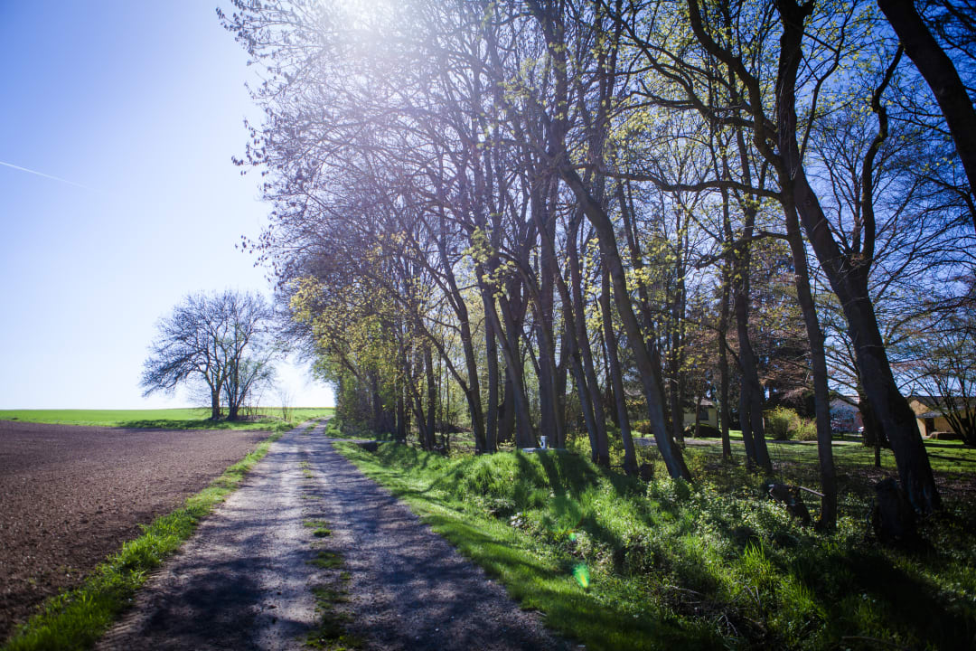 Ausblick Ferienhof Gut Ummersberg