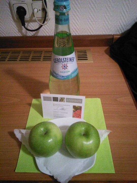 Willkommen Classik Hotel Magdeburg