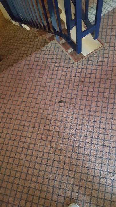 Treppenhaus Wyndham Garden Donaueschingen