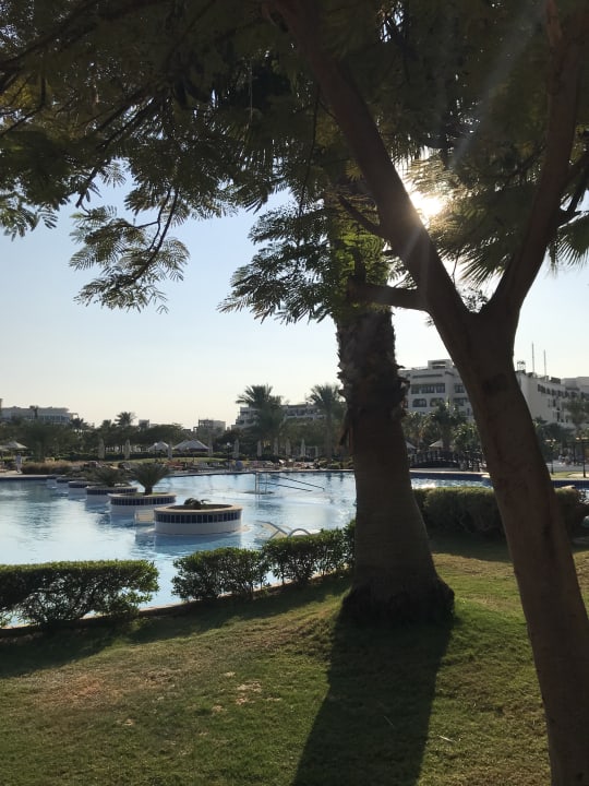 Gartenanlage Steigenberger ALDAU Beach Hotel