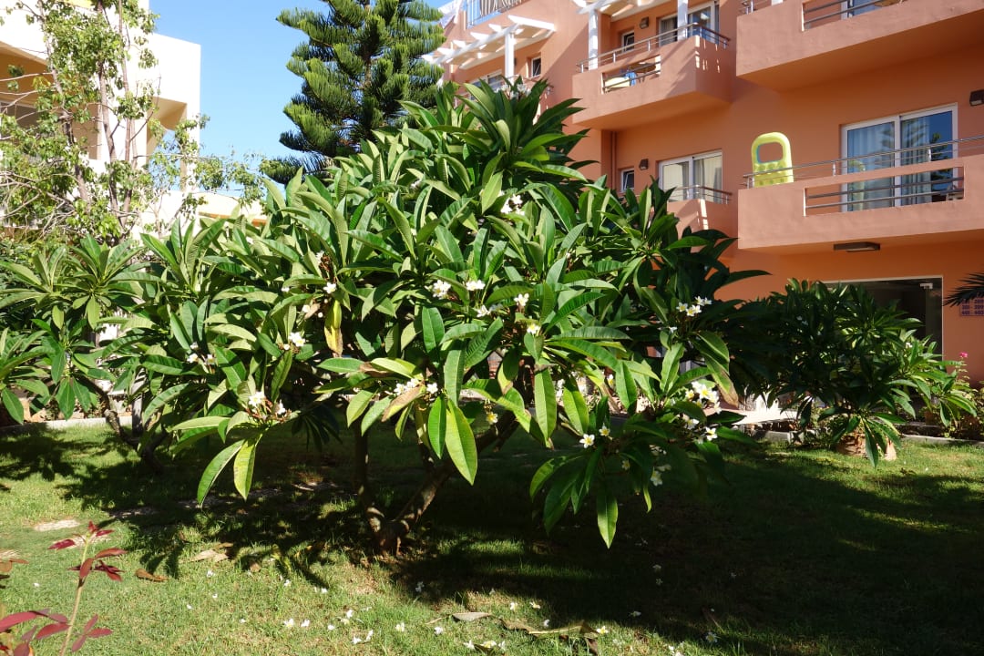Gartenanlage High Beach Resort