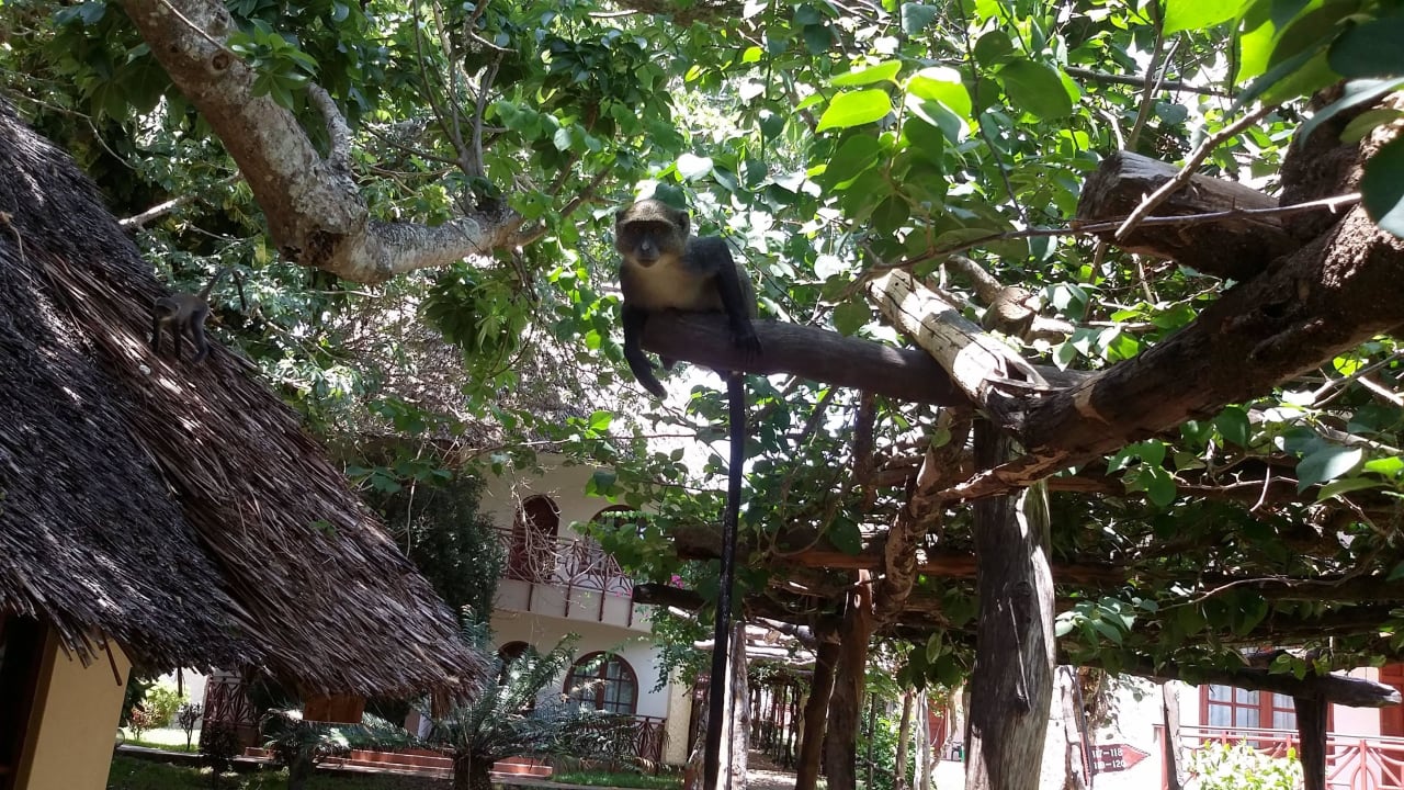 Mein Freund Neptune Paradise Beach Resort & Spa