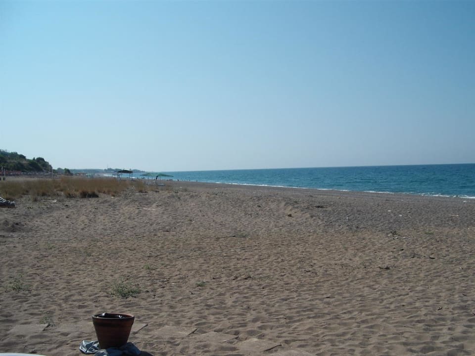 Nicht ganz so voll Skys Hotel