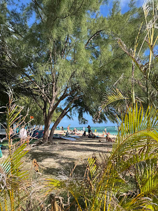 Strand La Pirogue Mauritius