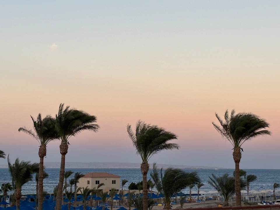 Ausblick Beach Albatros Resort