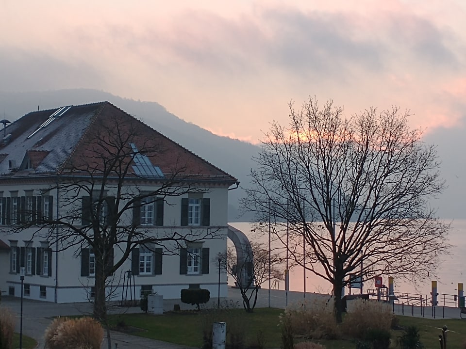 Ausblick Seehotel Adler
