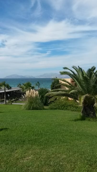 Gartenanlage Hotel Horizon Beach Resort