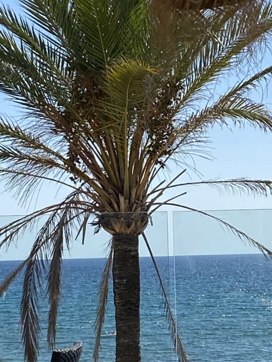 Ausblick Pension Maria Eugenia