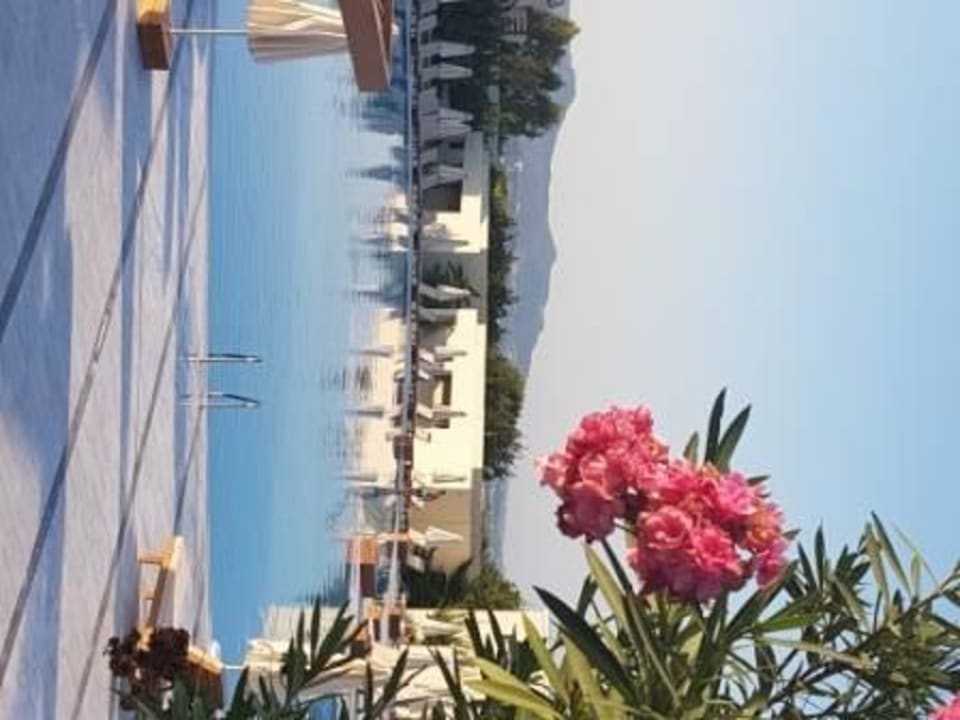 Poolanlage SENTIDO Port Royal Villas & Spa