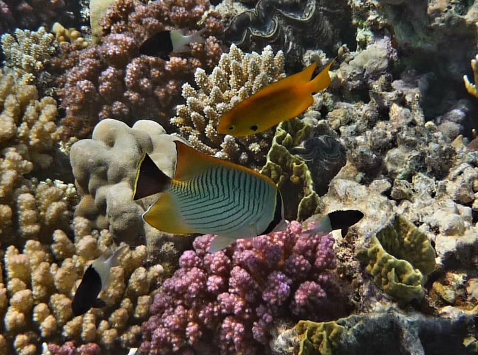 Sport & Freizeit Grand Makadi