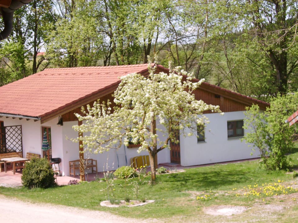 Ferienhaus mit DHH Gänseblümchen und DHH Margarite Ferienwohnungen Doblerhof