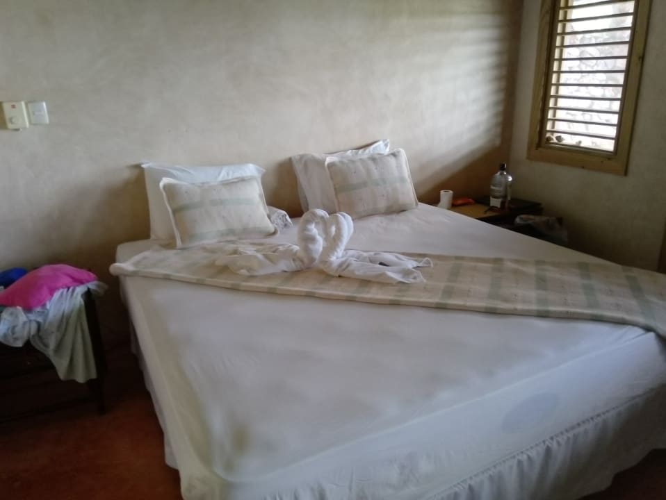 Zimmer B&B Paraiso Caño Hondo