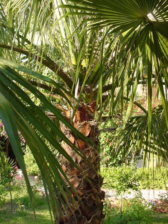 Ogrod Hotel Özgürhan