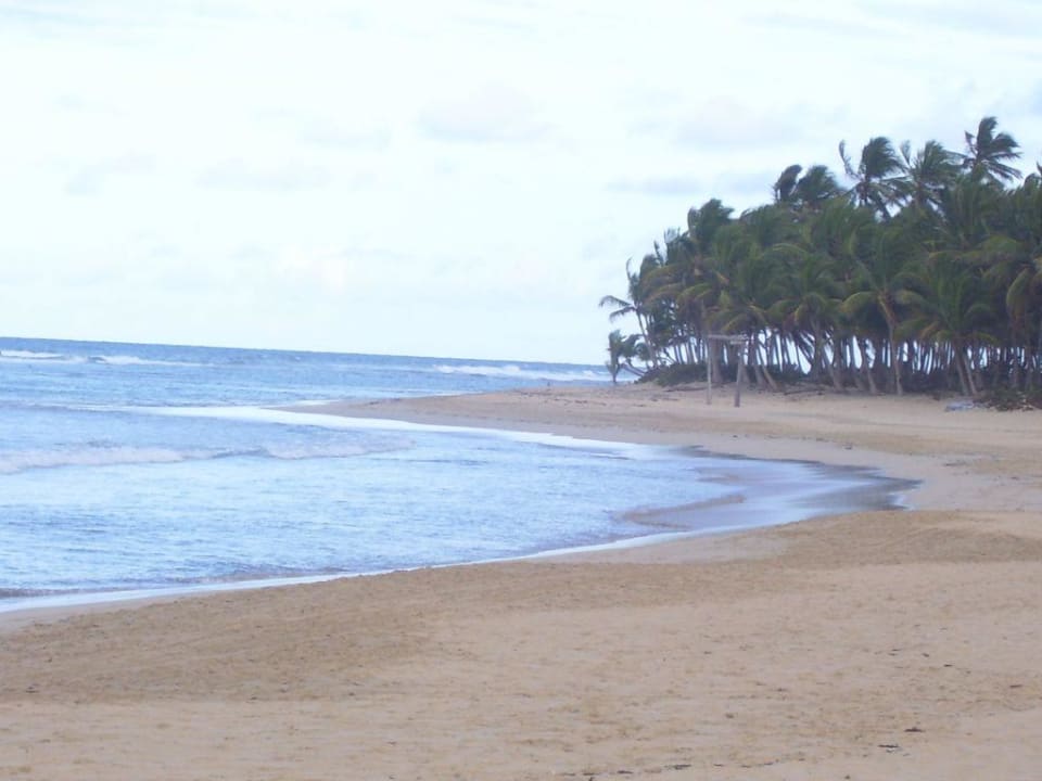 Strand am Hotel Excellence Punta Cana - Adults only