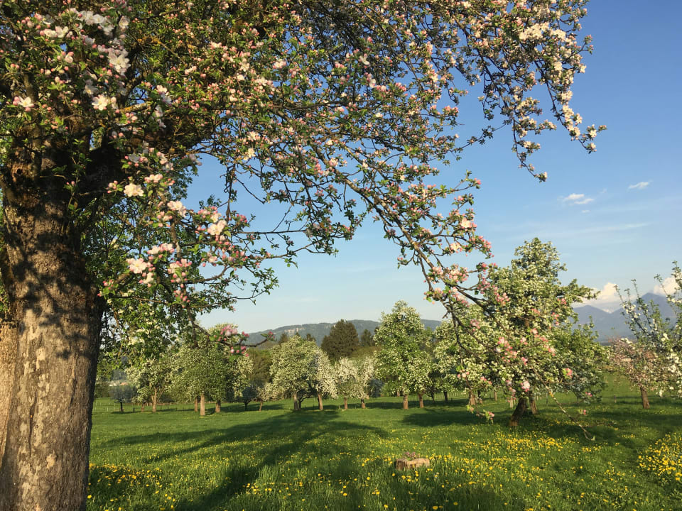 Gartenanlage Rutarhof - Urlaub am Bauernhof