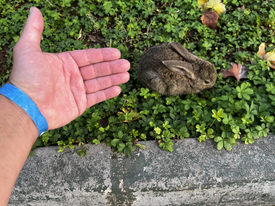 Gartenanlage Labranda Alantur Resort