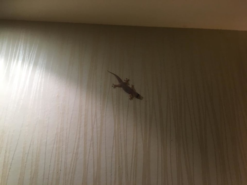 Zimmer Khaolak Orchid Beach Resort