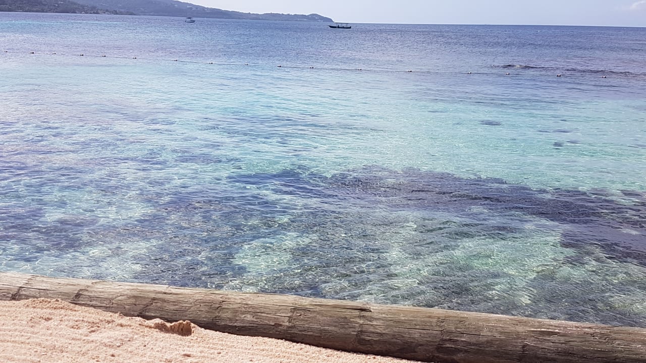 Nochmal der Strand Secrets Wild Orchid Montego Bay - Adults only