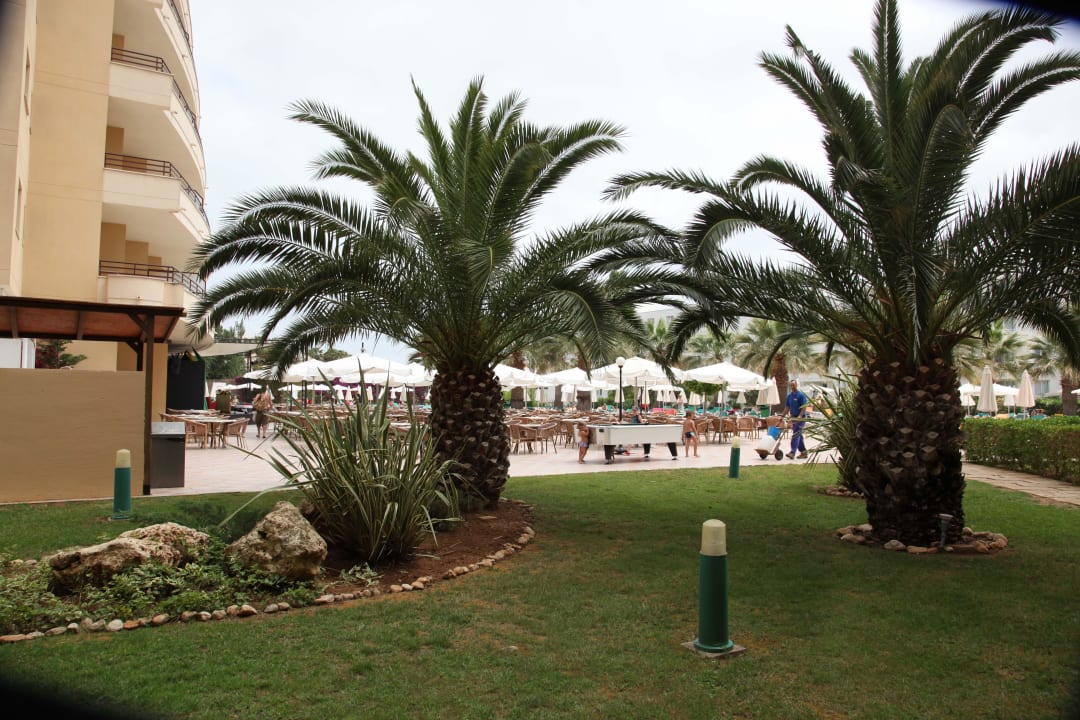 Garten-Café-Bereich allsun App.-Hotel Orient Beach