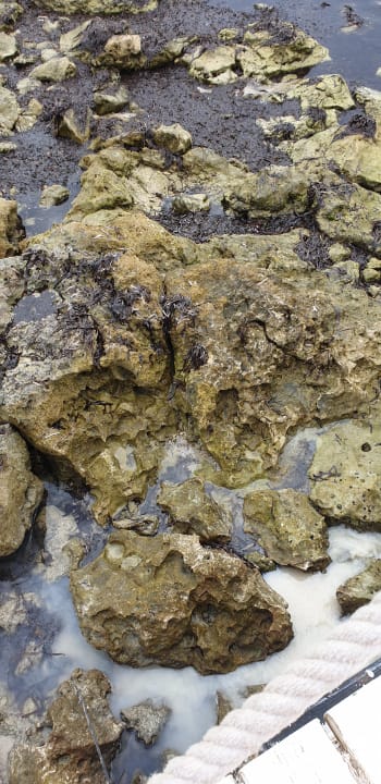 Strand Hotel El Mouradi Djerba Menzel