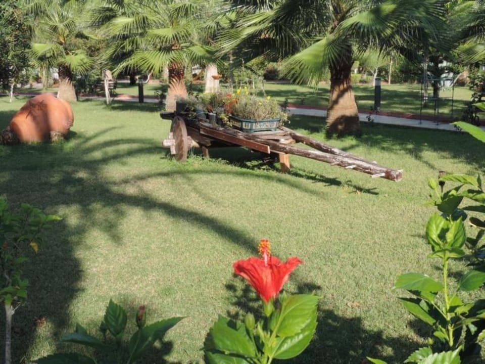 Sehr gepflegt diese Anlage Saphir Resort & Spa