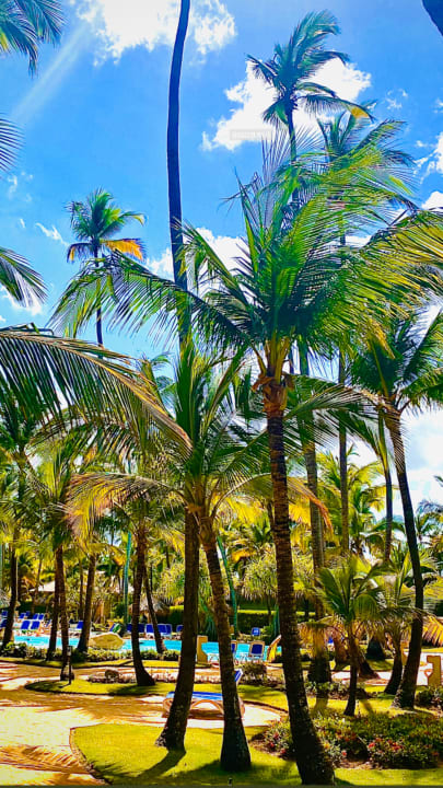 Außenansicht Meliá Caribe Beach Resort-All Inclusive