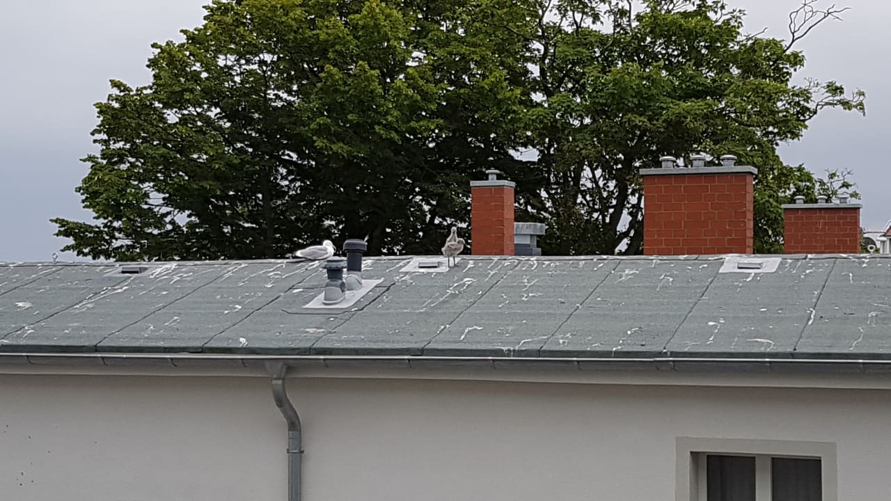 Ausblick SEETELHOTEL Kaiserstrand Beachhotel