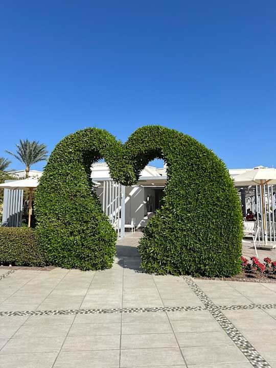 Ausblick Steigenberger Alcazar