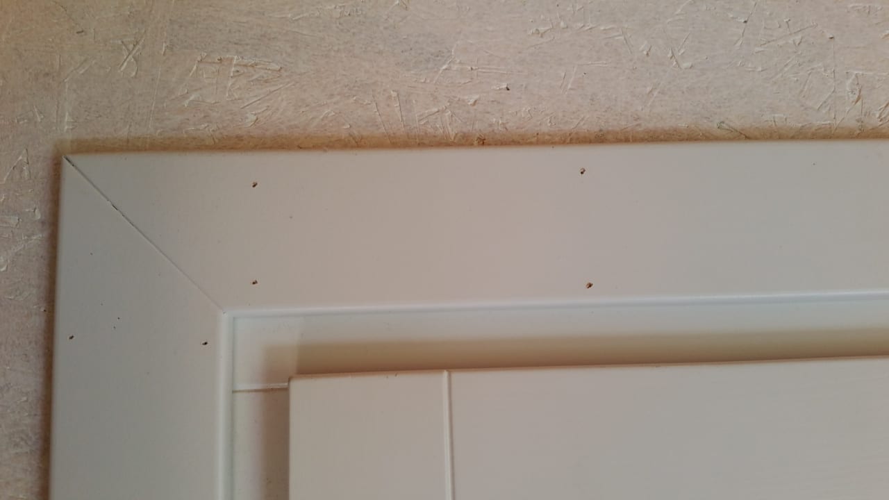 Zimmer Heide Park Holiday Camp