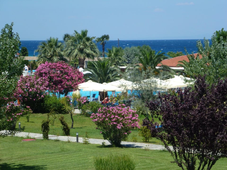 Blick zum Pool alltoura Club Hotel Poseidon Palace