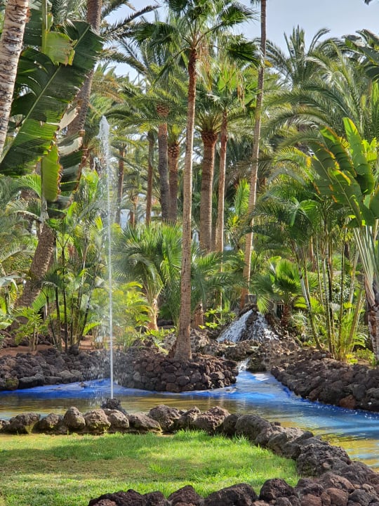 Gartenanlage Hotel Riu Palace Oasis