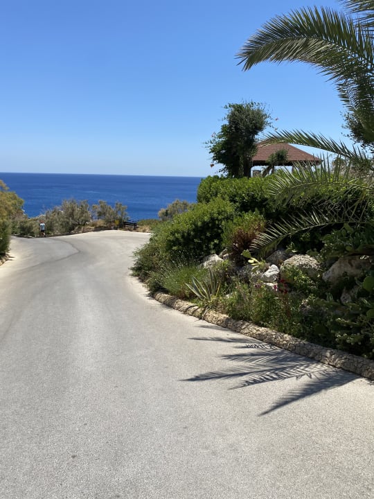 Gartenanlage Hotel Kalithea Horizon Royal